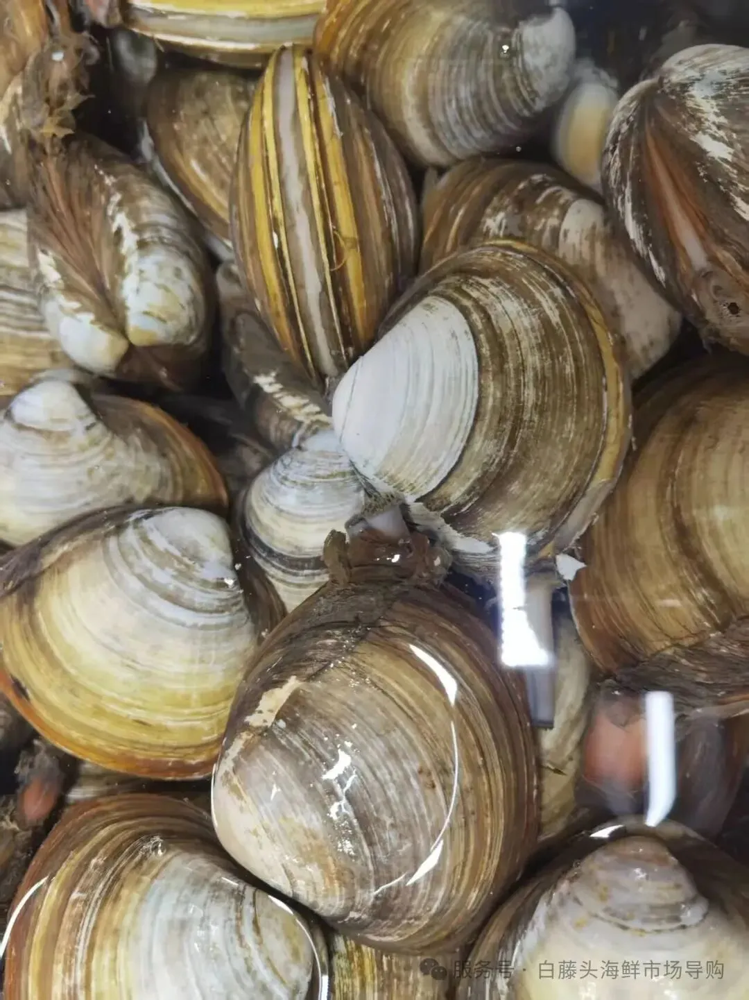 国庆中秋去白藤头海鲜批发市场赴海鲜约!鲜活海产选购 +4家餐厅加工+周边玩法,这份指南超实用