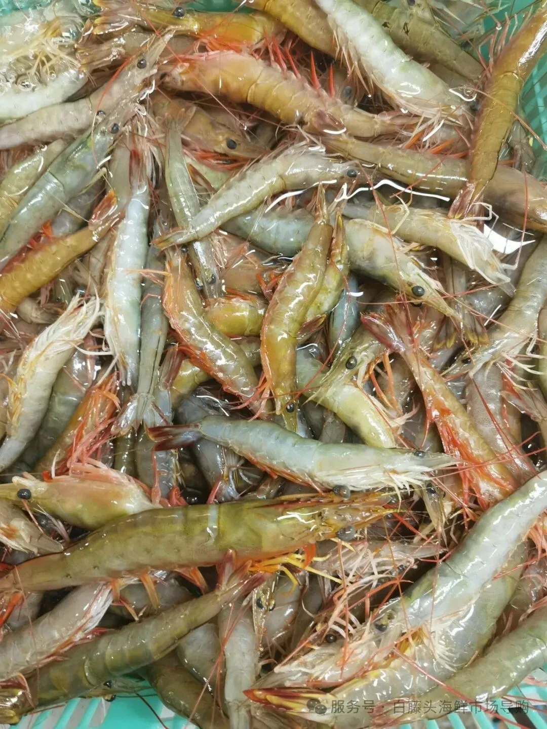 国庆中秋去白藤头海鲜批发市场赴海鲜约!鲜活海产选购 +4家餐厅加工+周边玩法,这份指南超实用