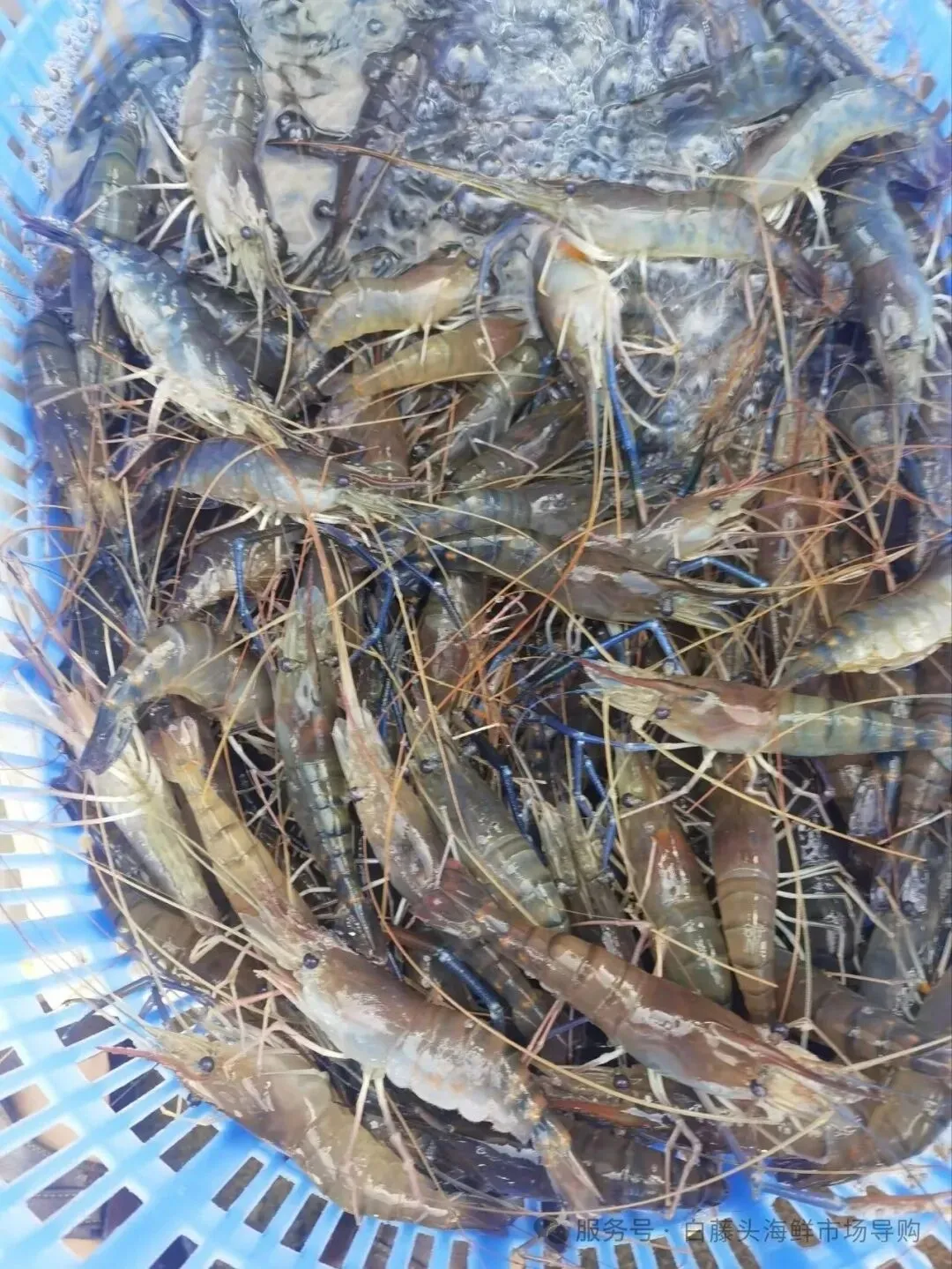 国庆中秋去白藤头海鲜批发市场赴海鲜约!鲜活海产选购 +4家餐厅加工+周边玩法,这份指南超实用