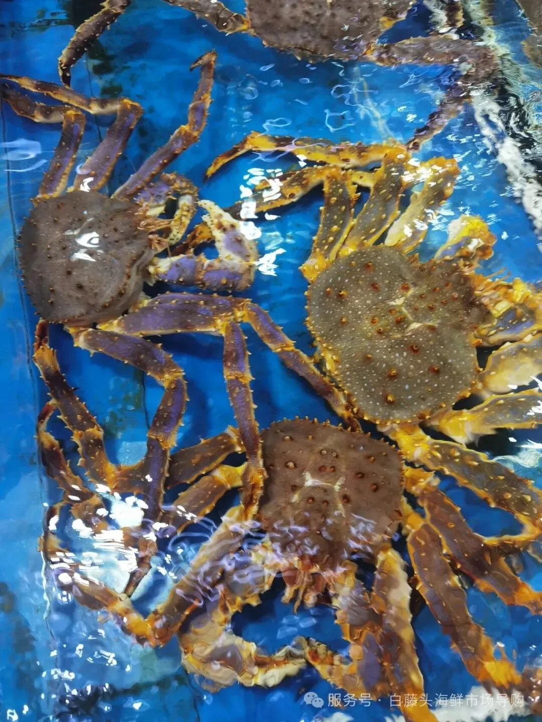 国庆中秋去白藤头海鲜批发市场赴海鲜约!鲜活海产选购 +4家餐厅加工+周边玩法,这份指南超实用