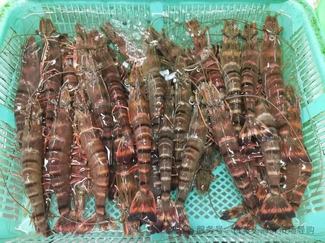 国庆中秋去白藤头海鲜批发市场赴海鲜约!鲜活海产选购 +4家餐厅加工+周边玩法,这份指南超实用