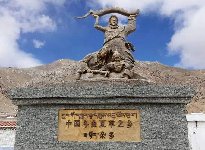 崩了!鲜虫草市场暴雷了