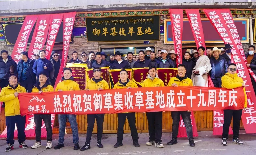 崩了!鲜虫草市场暴雷了