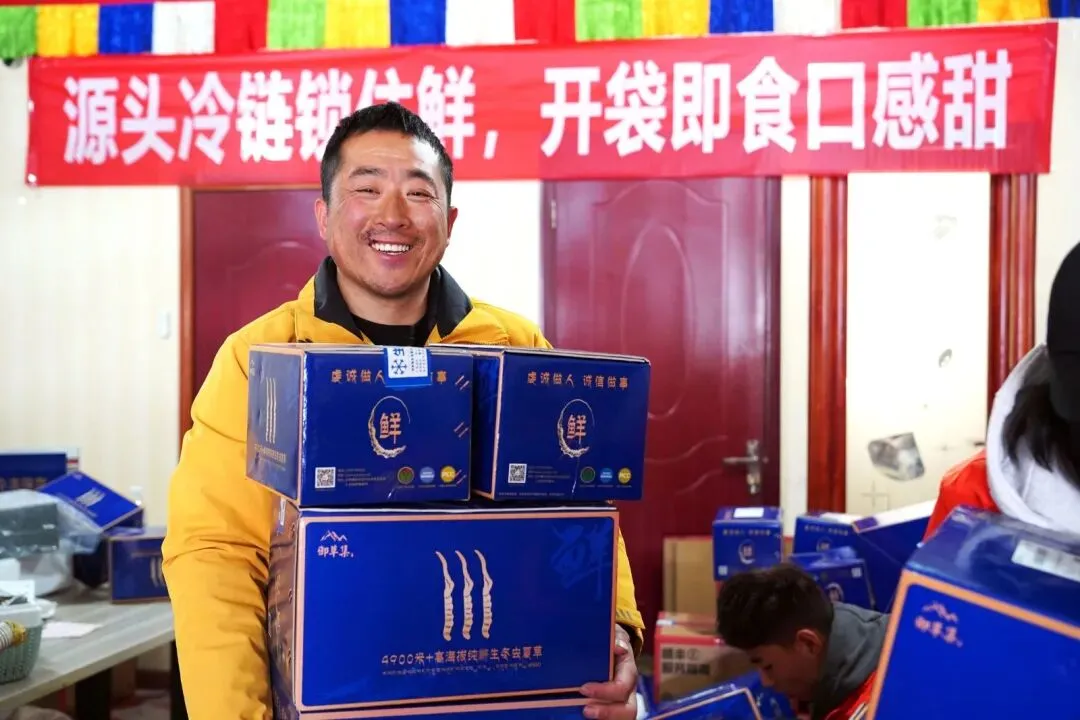 崩了!鲜虫草市场暴雷了