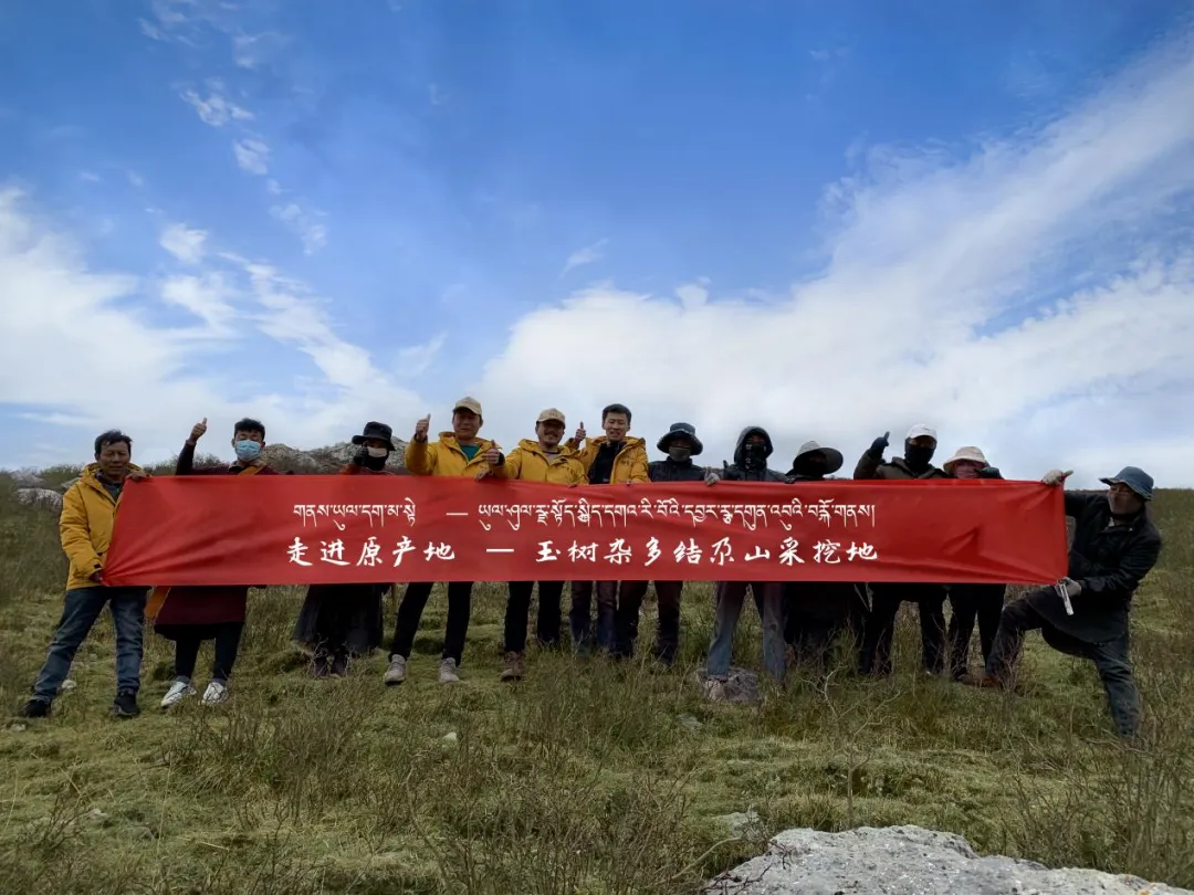 崩了!鲜虫草市场暴雷了