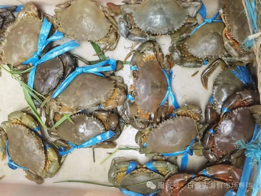 国庆中秋去白藤头海鲜批发市场赴海鲜约!鲜活海产选购 +4家餐厅加工+周边玩法,这份指南超实用