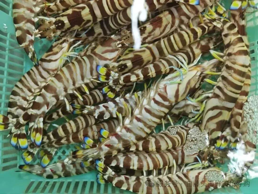 国庆中秋去白藤头海鲜批发市场赴海鲜约!鲜活海产选购 +4家餐厅加工+周边玩法,这份指南超实用