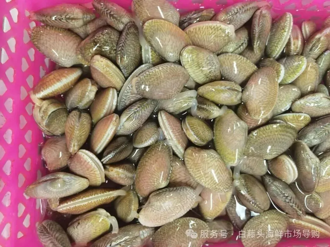 国庆中秋去白藤头海鲜批发市场赴海鲜约!鲜活海产选购 +4家餐厅加工+周边玩法,这份指南超实用