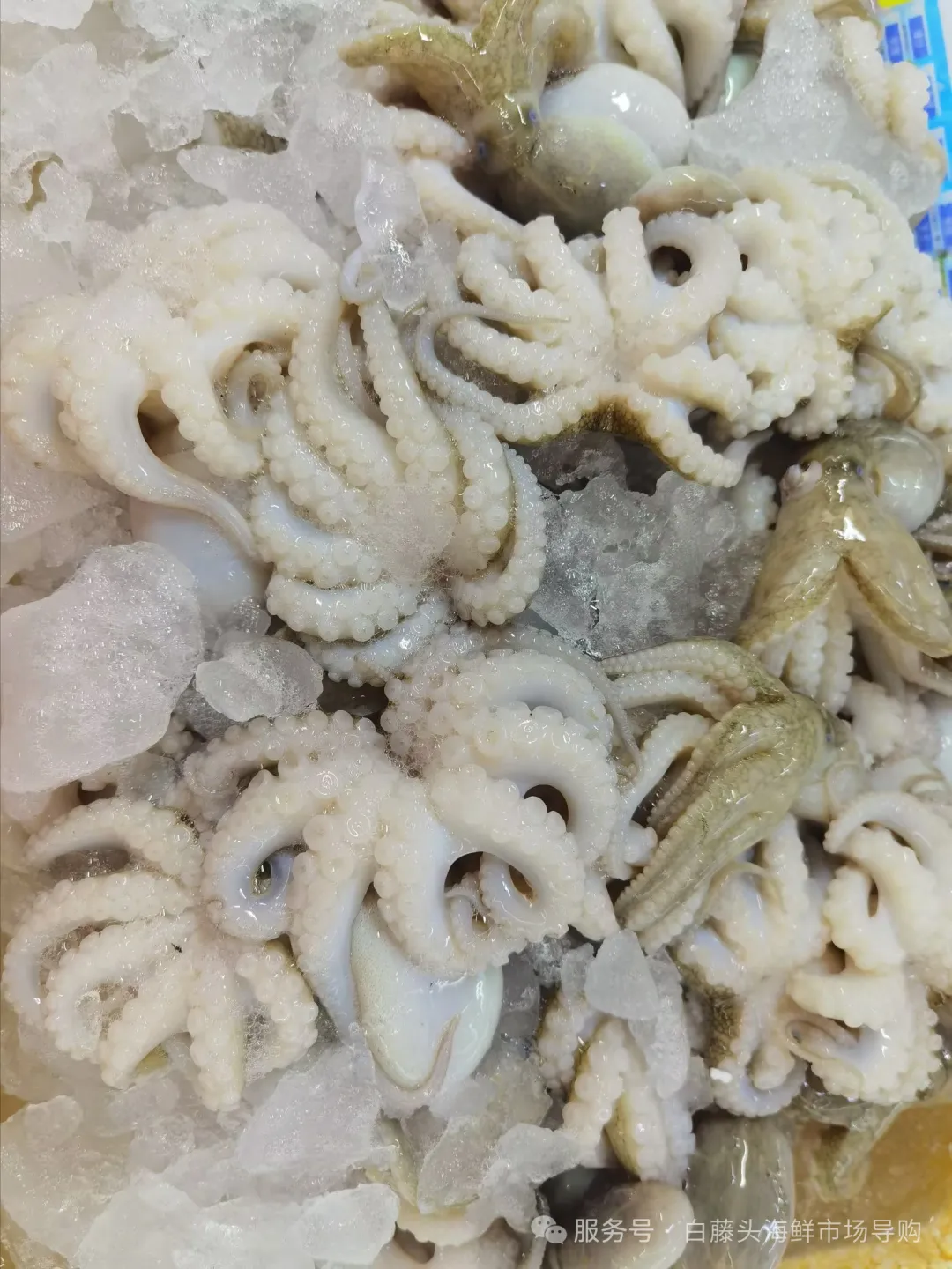 国庆中秋去白藤头海鲜批发市场赴海鲜约!鲜活海产选购 +4家餐厅加工+周边玩法,这份指南超实用