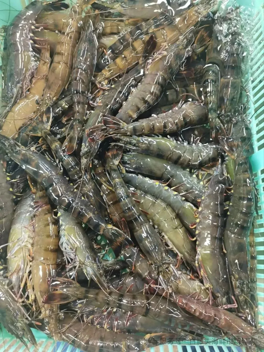 国庆中秋去白藤头海鲜批发市场赴海鲜约!鲜活海产选购 +4家餐厅加工+周边玩法,这份指南超实用