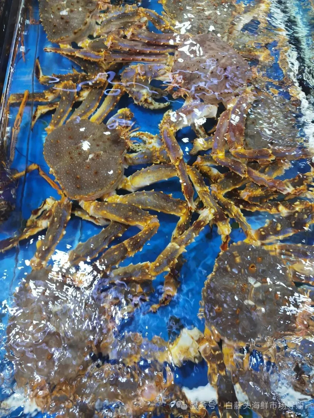 国庆中秋去白藤头海鲜批发市场赴海鲜约!鲜活海产选购 +4家餐厅加工+周边玩法,这份指南超实用