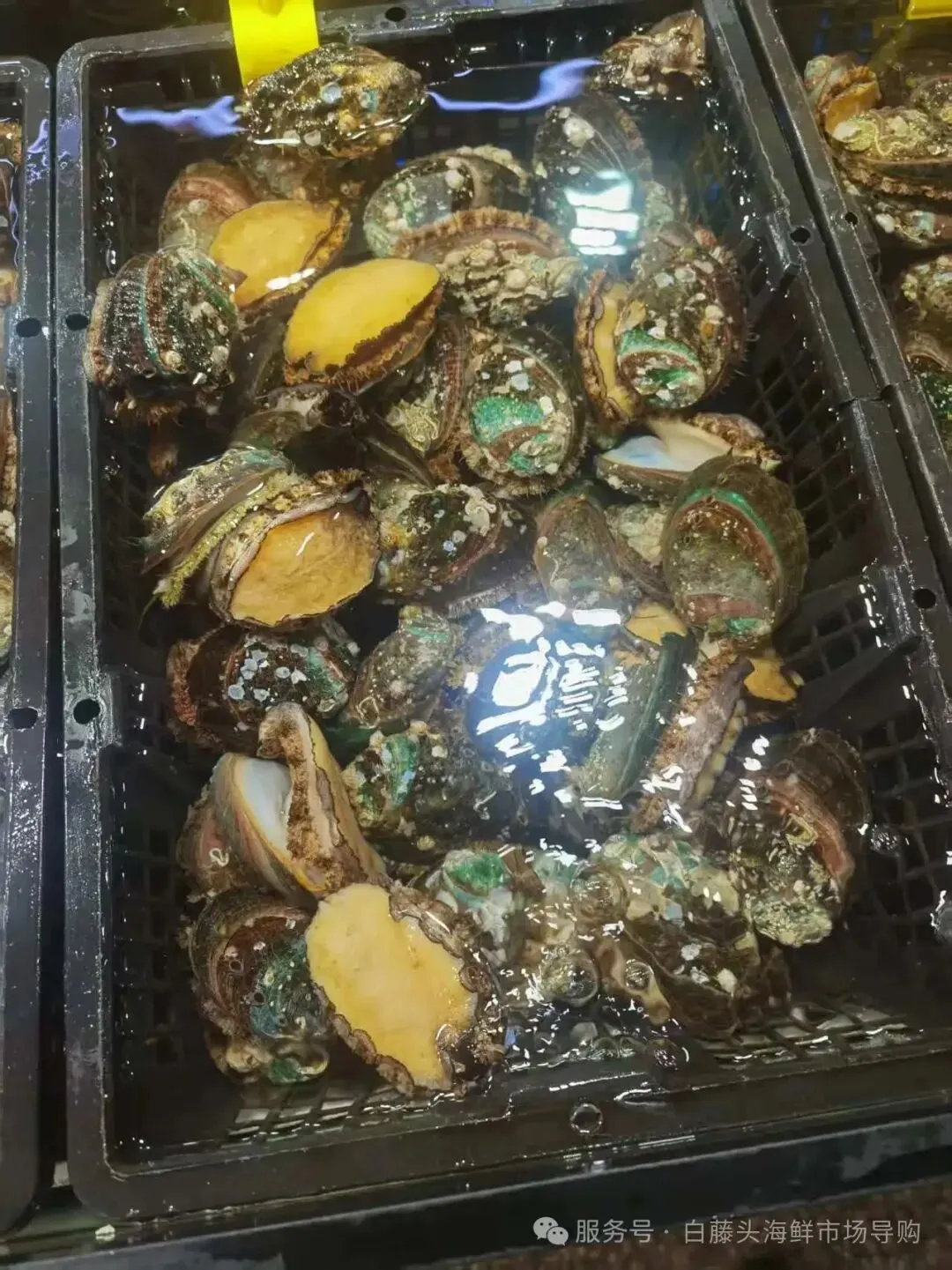 国庆中秋去白藤头海鲜批发市场赴海鲜约!鲜活海产选购 +4家餐厅加工+周边玩法,这份指南超实用