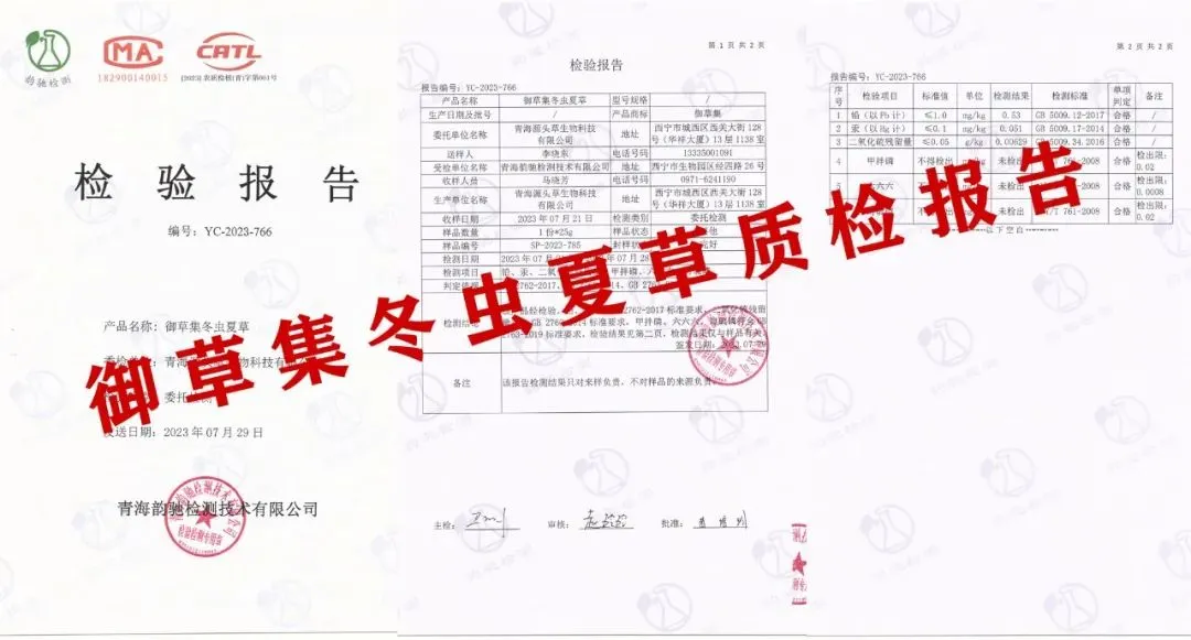 崩了!鲜虫草市场暴雷了