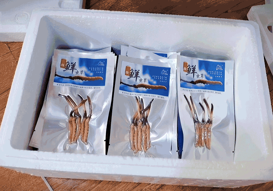 崩了!鲜虫草市场暴雷了