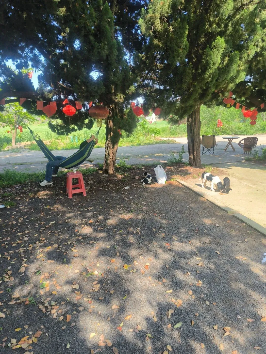 警惕短期反弹迷雾:守住收益,理性应对市场波动