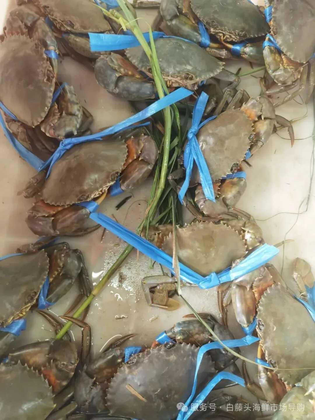 国庆中秋去白藤头海鲜批发市场赴海鲜约!鲜活海产选购 +4家餐厅加工+周边玩法,这份指南超实用