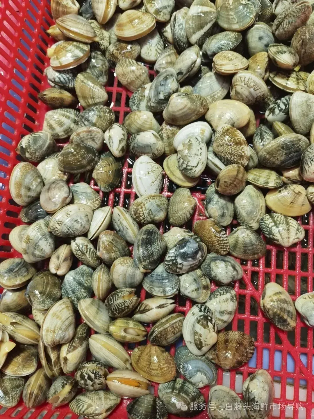 国庆中秋去白藤头海鲜批发市场赴海鲜约!鲜活海产选购 +4家餐厅加工+周边玩法,这份指南超实用