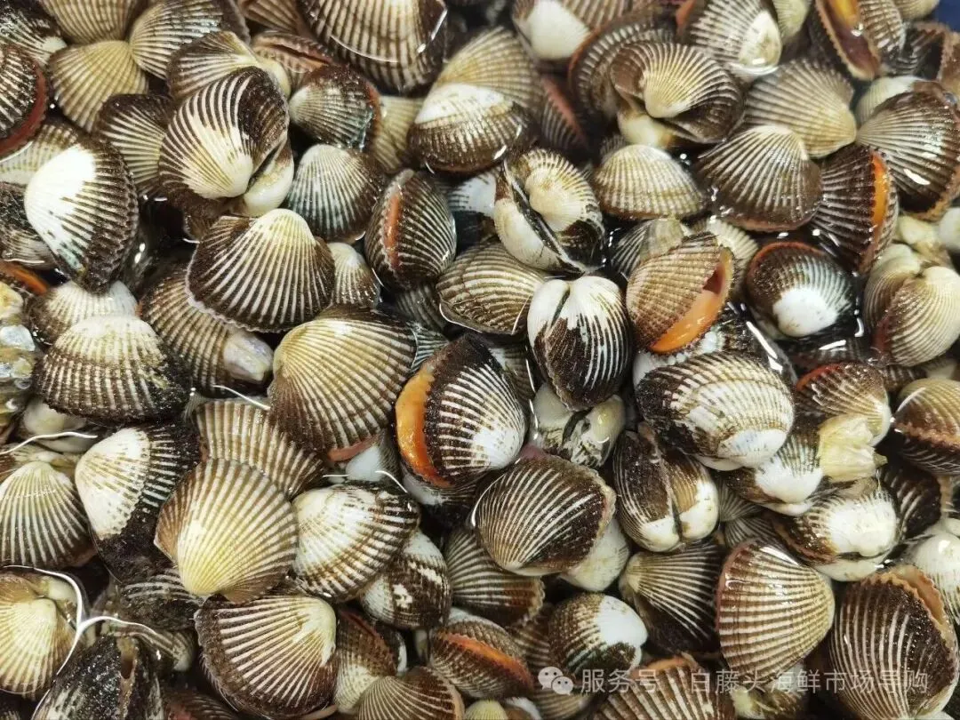 国庆中秋去白藤头海鲜批发市场赴海鲜约!鲜活海产选购 +4家餐厅加工+周边玩法,这份指南超实用