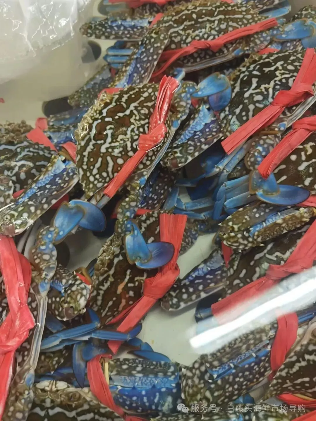 国庆中秋去白藤头海鲜批发市场赴海鲜约!鲜活海产选购 +4家餐厅加工+周边玩法,这份指南超实用