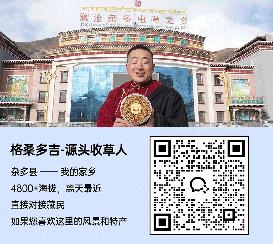 崩了!鲜虫草市场暴雷了