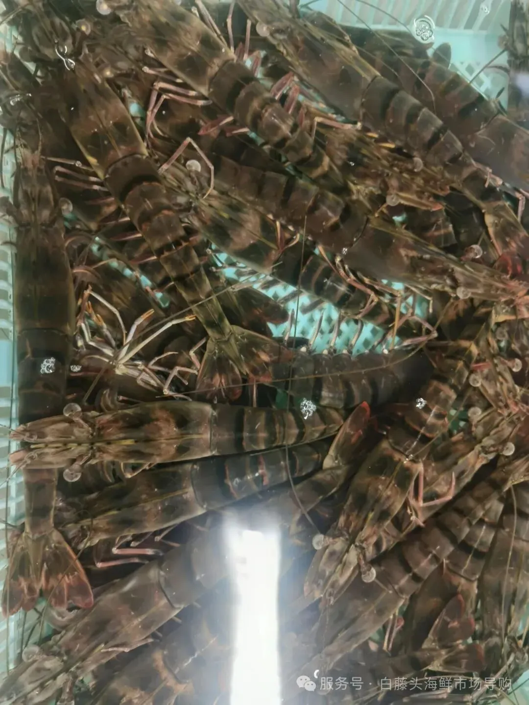 国庆中秋去白藤头海鲜批发市场赴海鲜约!鲜活海产选购 +4家餐厅加工+周边玩法,这份指南超实用