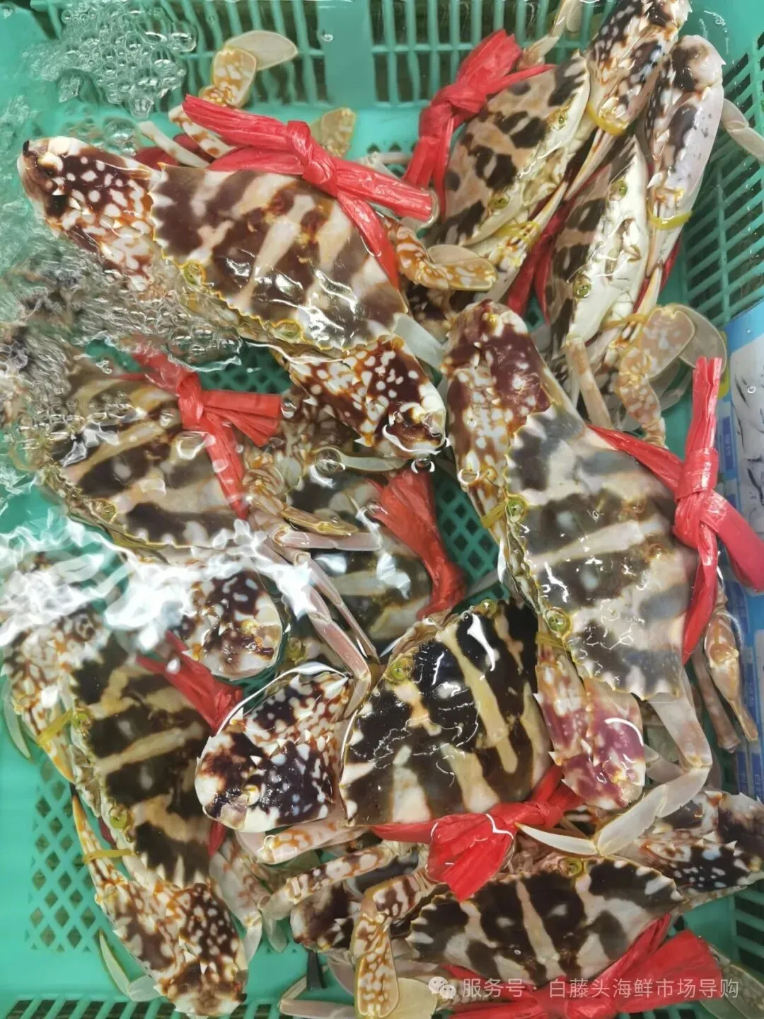 国庆中秋去白藤头海鲜批发市场赴海鲜约!鲜活海产选购 +4家餐厅加工+周边玩法,这份指南超实用