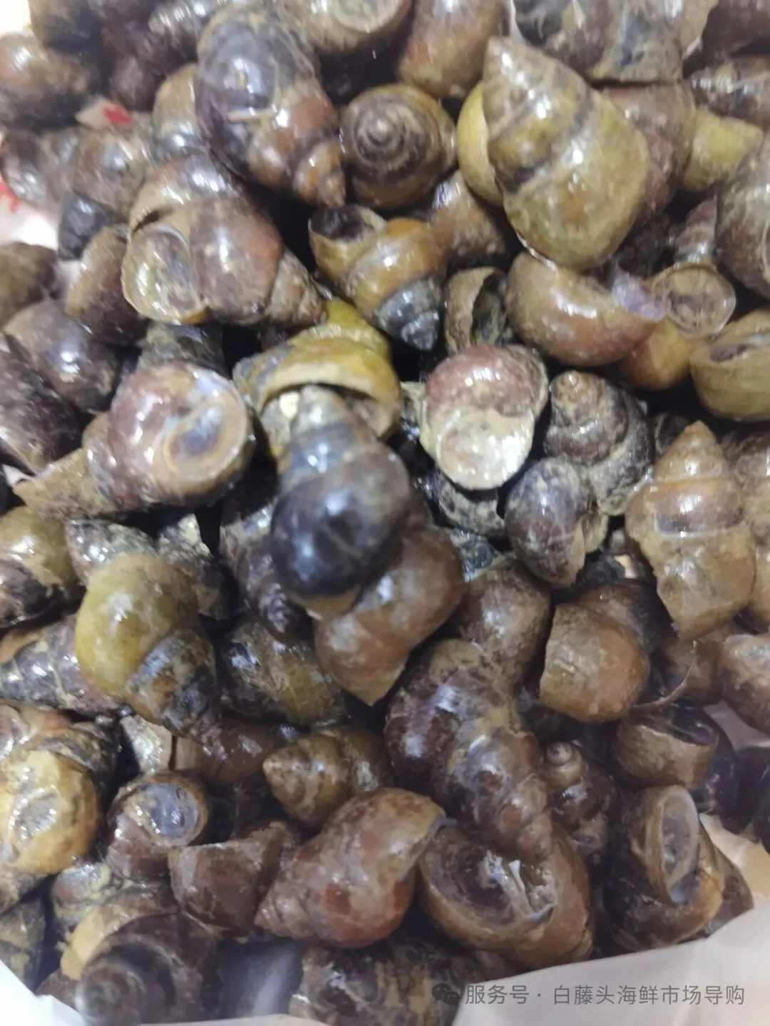 国庆中秋去白藤头海鲜批发市场赴海鲜约!鲜活海产选购 +4家餐厅加工+周边玩法,这份指南超实用