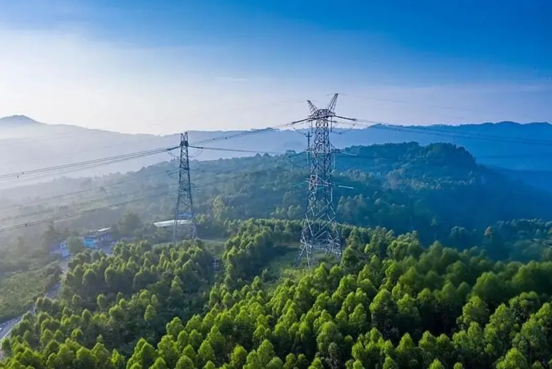 核心术语第一辑【秒懂电力市场】