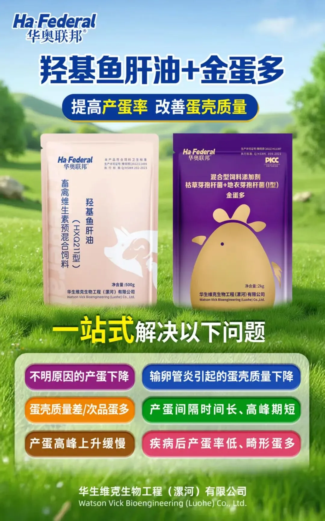 破局鸡蛋营销:告别概念,拥抱优价