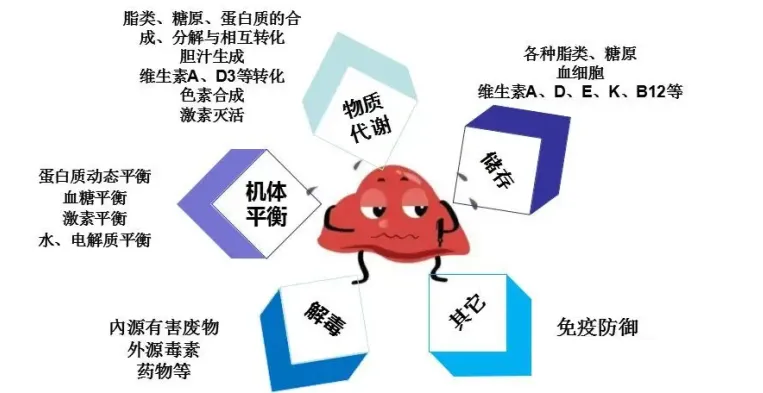 破局鸡蛋营销:告别概念,拥抱优价