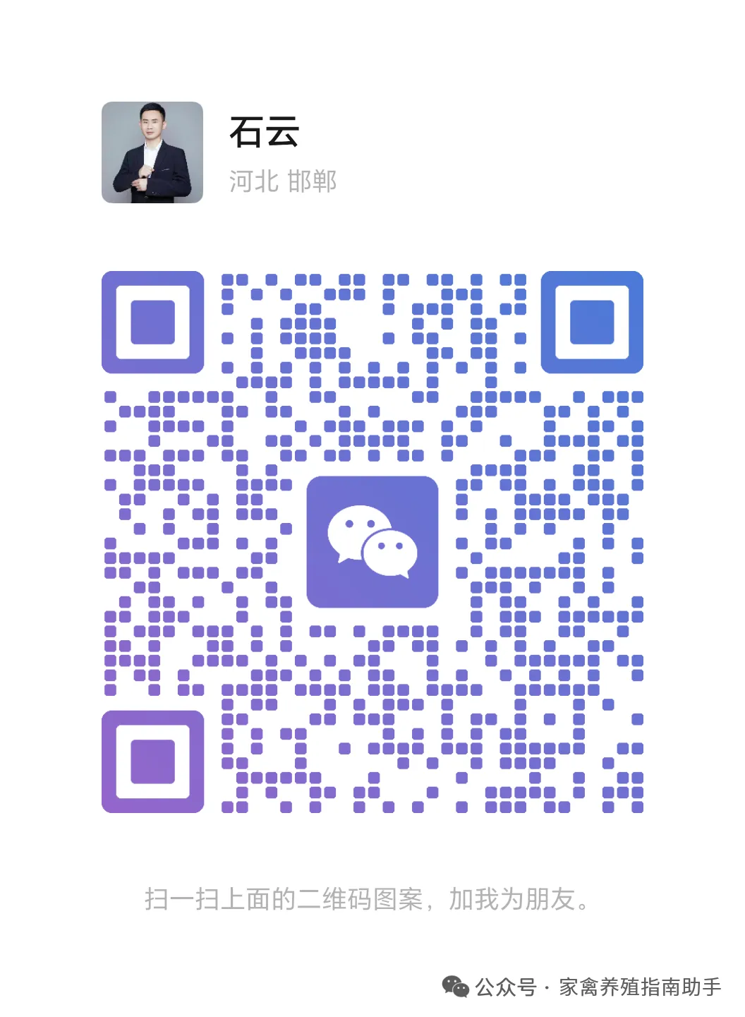 破局鸡蛋营销:告别概念,拥抱优价