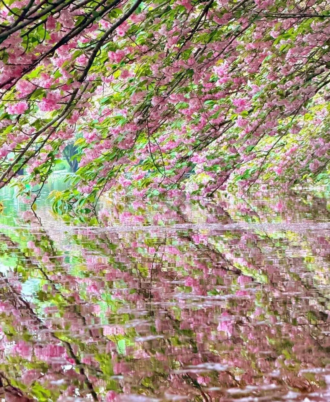 爆品硬通货:像茅台一样做营销