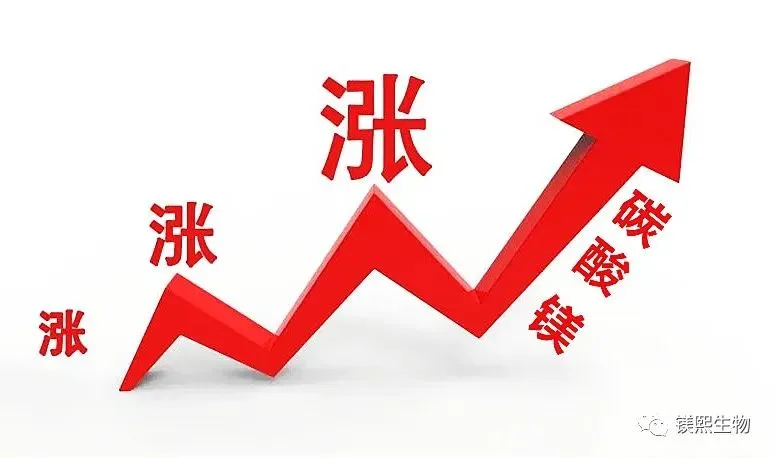 2026年碳酸镁市场行情分析:价格稳步上行 淡旺季界限模糊