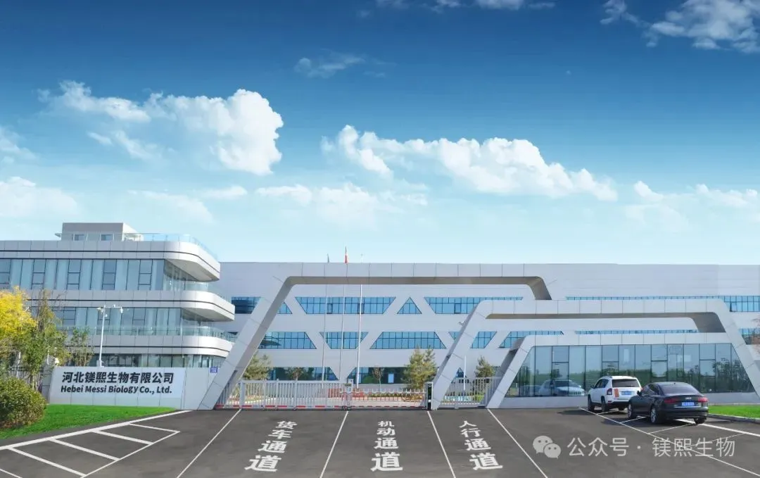 2026年碳酸镁市场行情分析:价格稳步上行 淡旺季界限模糊