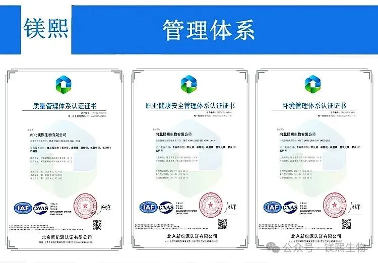 2026年碳酸镁市场行情分析:价格稳步上行 淡旺季界限模糊