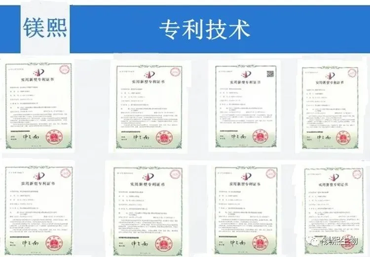 2026年碳酸镁市场行情分析:价格稳步上行 淡旺季界限模糊