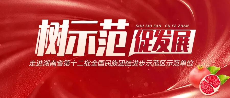 【树示范 促发展】株洲市芦淞区服饰市场经理协会——以衣为媒齐打拼