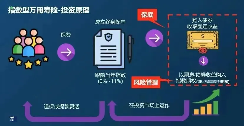 在波动市场中寻找＂反脆弱＂资产:IUL指数万能险的攻守之道