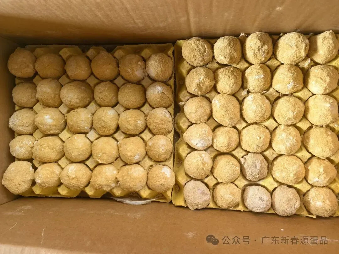 2026年4月21日 东莞信立市场鸡蛋行情参考