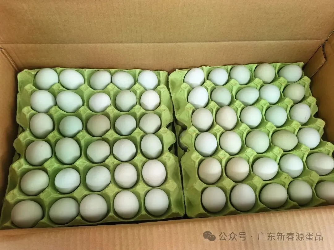 2026年4月21日 东莞信立市场鸡蛋行情参考