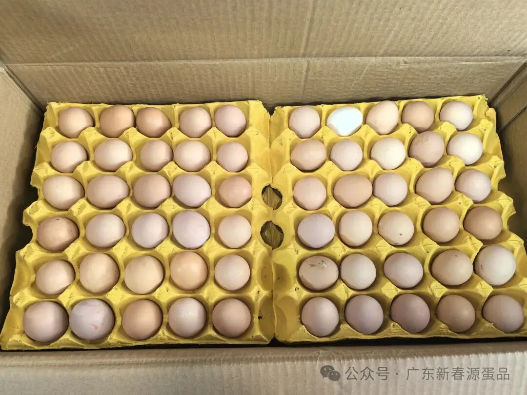 2026年4月21日 东莞信立市场鸡蛋行情参考