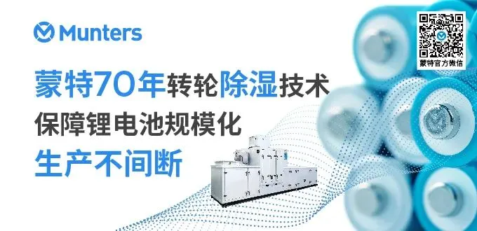 百亿之路,2026年非洲户储市场分析