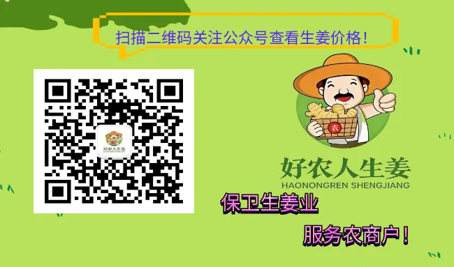 4月21日安丘生姜价格(黑埠子市场上货增加,下货不快,主流成交价1.2-1.6之间,相比昨天落1毛左右(内附交割货出售价与收购价)