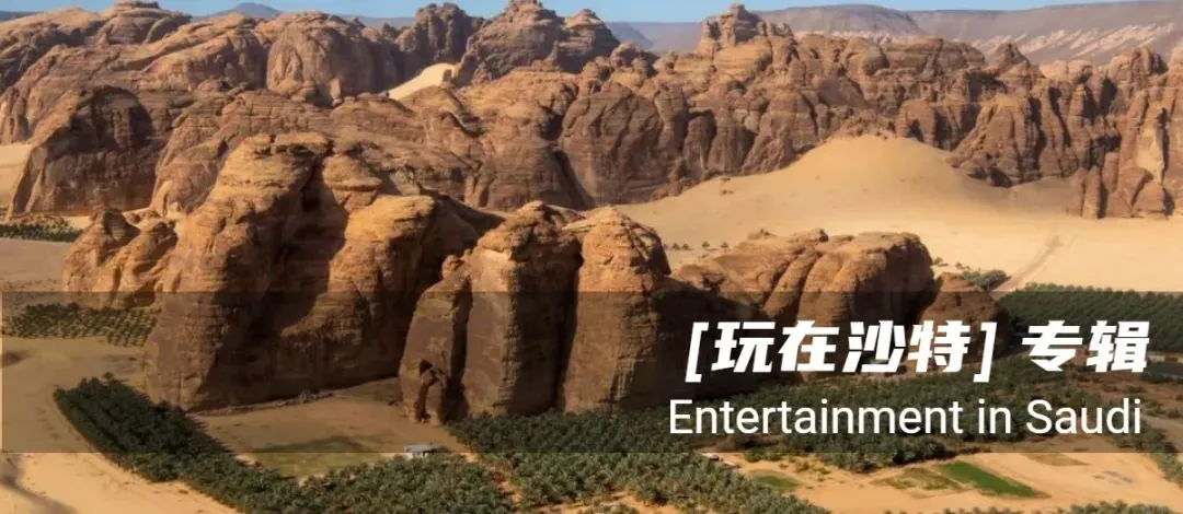 沙特提高“市场营销与销售行业”的沙化比例,4月19日正式生效