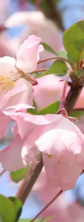 2026年5月份营销日历(重要营销节点:五一劳动节、青年节、母亲节、预热618)