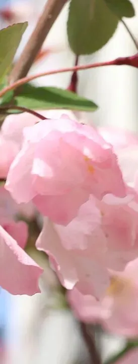 2026年5月份营销日历(重要营销节点:五一劳动节、青年节、母亲节、预热618)