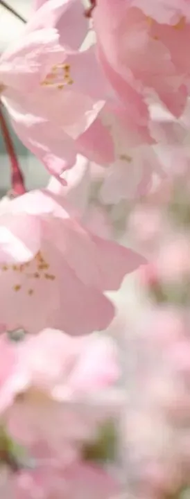 2026年5月份营销日历(重要营销节点:五一劳动节、青年节、母亲节、预热618)