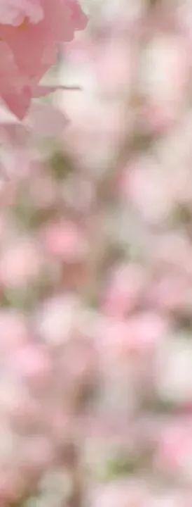 2026年5月份营销日历(重要营销节点:五一劳动节、青年节、母亲节、预热618)