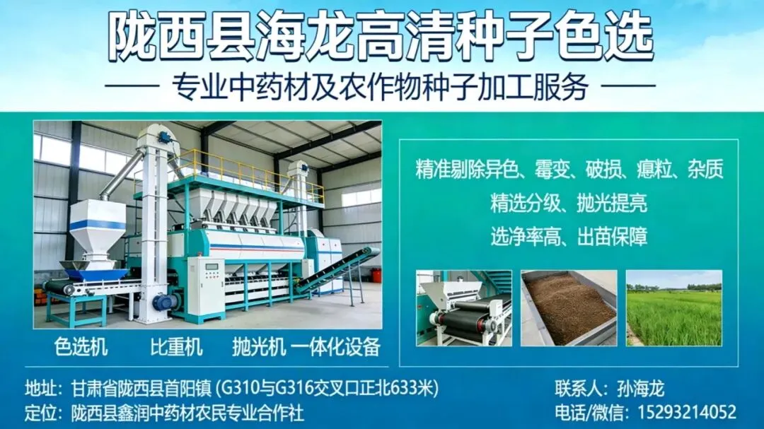 2026年4月20日首阳中药材市场快讯(种籽市场上货量大,人气高,关注度高)