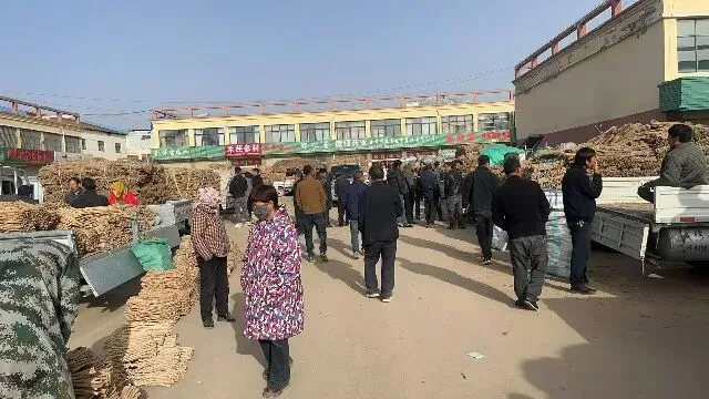 2026年4月20日首阳中药材市场快讯(种籽市场上货量大,人气高,关注度高)